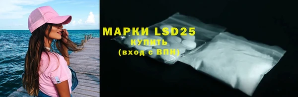 МДПВ Вяземский