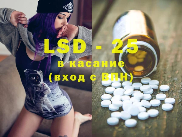 МДПВ Вяземский
