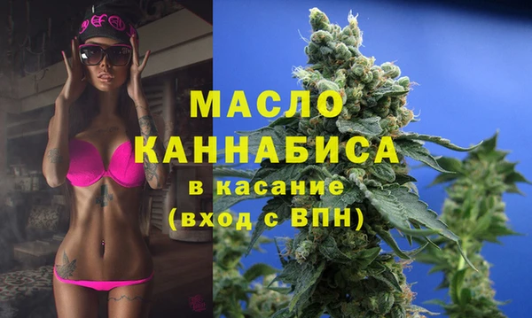 МДПВ Вяземский