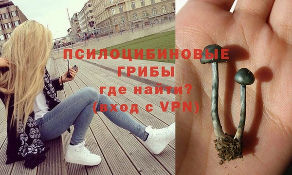 МДПВ Вяземский